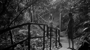 Backdrop to the movie "Queerpanorama" #801485