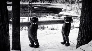 Backdrop to the movie "Hundreds of Beavers" #756232