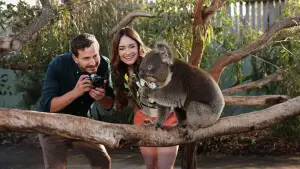 Backdrop to the movie "A Melbourne Match" #542331