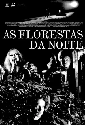 Poster to the movie "As Florestas da Noite" #566212