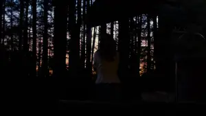 Backdrop to the movie "Evil Does Not Exist" #756359