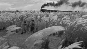 Backdrop to the movie "Pather Panchali" #751182