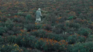 Backdrop to the movie "The Calf Doll" #778000