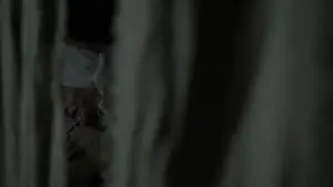 Backdrop to the movie "The Witch" #600300