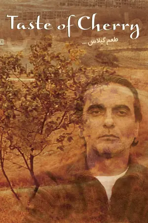 Poster to the movie "Taste of Cherry" #111973