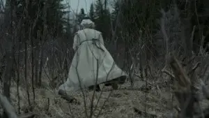 Backdrop to the movie "The Witch" #600277