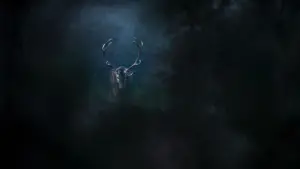 Backdrop to the movie "Whispers in the Woods" #534631