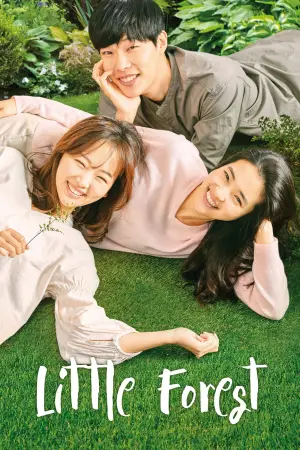 Poster to the movie "Little Forest" #905882