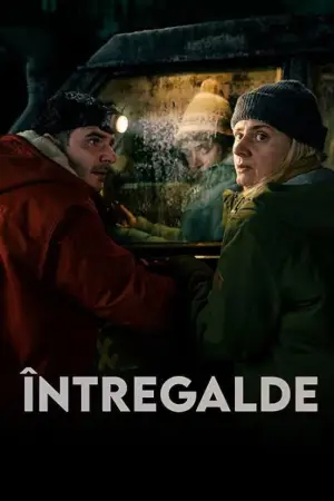 Poster to the movie "Întregalde" #743438