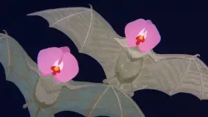 Backdrop to the movie "Fireworks" #710987