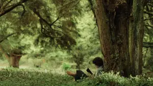 Backdrop to the movie "The Lord of the Rings: The Fellowship of the Ring" #515485