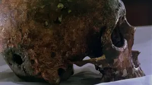 Backdrop to the movie "Bullet in the Head" #791042