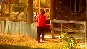 Backdrop to the movie "Dry Leaf" #770903