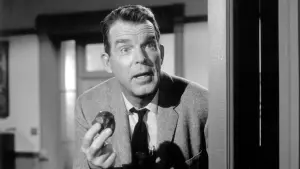 Backdrop to the movie "Son of Flubber" #414419