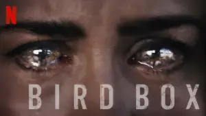 Bird Box