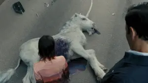 Backdrop to the movie "Death of a Unicorn" #568897