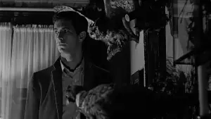 Backdrop to the movie "Psycho" #798812