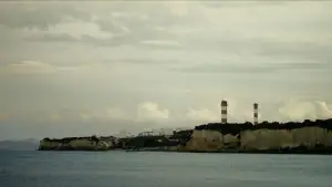 Backdrop to the movie "Secret of the Forest" #798237