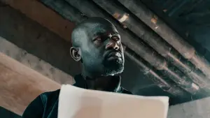 Backdrop to the movie "Lost Phoenix" #762134