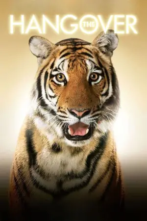 Poster to the movie "The Hangover" #571943