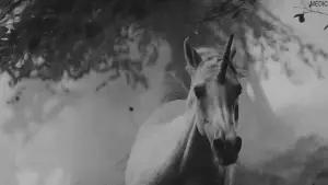 Backdrop to the movie "Blade Runner" #563426