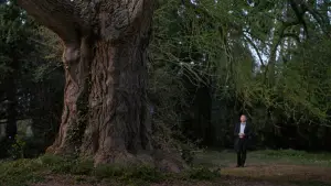 Backdrop to the movie "Silent Friend" #525061