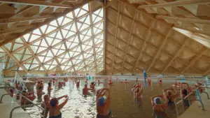 Backdrop to the movie "Sanatorium" #699466