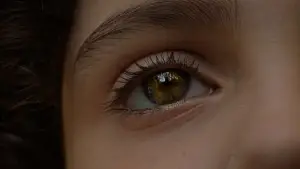 Backdrop to the movie "Split" #600724