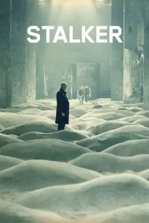Poster to the movie "Stalker" #734114