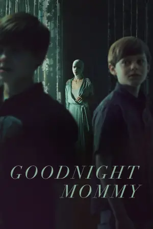 Poster to the movie "Goodnight Mommy" #294890