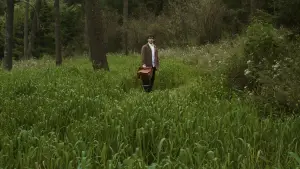 Backdrop to the movie "Para atrapar el viento" #539084