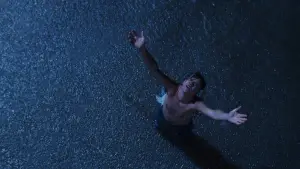 Backdrop to the movie "The Shawshank Redemption" #517296