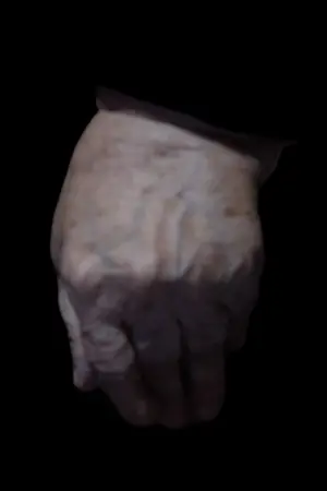 Poster to the movie "The Shell" #367209