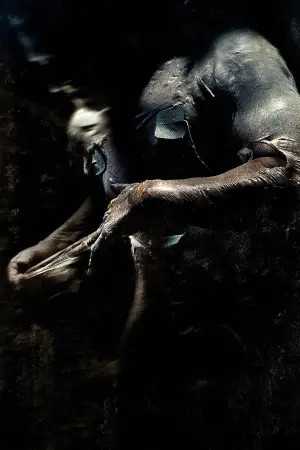 Poster to the movie "Pandorum" #851574