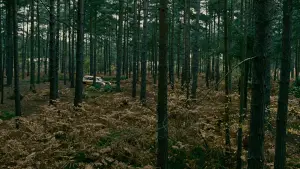 Backdrop to the movie "Children of Men" #626849