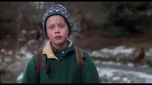 Backdrop to the movie "Home Alone 2: Lost in New York" #567019