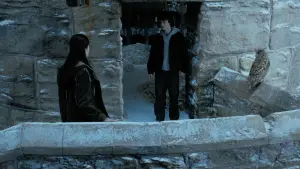 Backdrop to the movie "Harry Potter and the Goblet of Fire" #802005