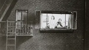 Backdrop to the movie "Rear Window" #174401