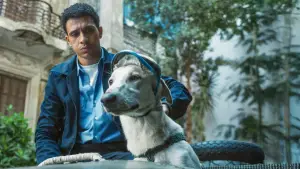 Backdrop to the movie "Seeking Haven for Mr. Rambo" #637156