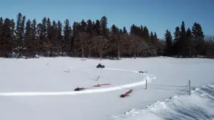 Backdrop to the movie "Wrong Turn 4: Bloody Beginnings" #793648