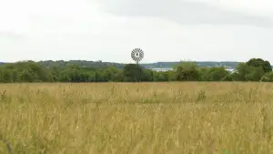 Backdrop to the movie "Moonrise Kingdom" #719479