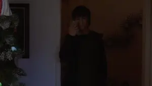 Backdrop to the movie "Mysterious Skin" #816993