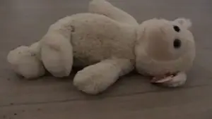 Backdrop to the movie "Castration Movie Anthology iii. Year of the Hyaena" #696063