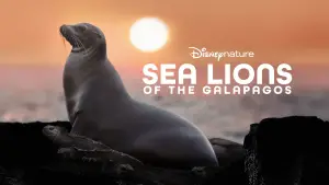 Backdrop to the movie "Sea Lions of the Galapagos" #719358
