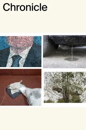 Poster to the movie "Chronicle" #540489