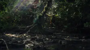 Backdrop to the movie "Annihilation" #618587