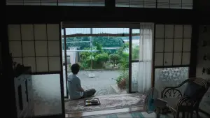 Backdrop to the movie "Sunset Sunrise" #798685