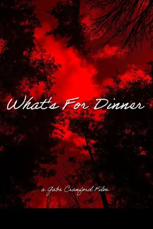 Poster to the movie "What