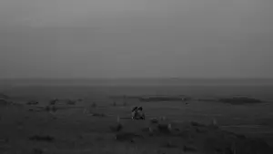 Backdrop to the movie "Bones and All" #811235