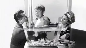 Backdrop to the movie "The Courtship of Eddie
